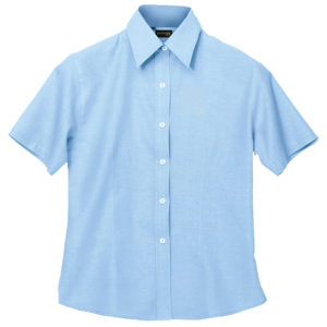 Ladies Chambray Blouse Short Sleeve (LL-CHA)